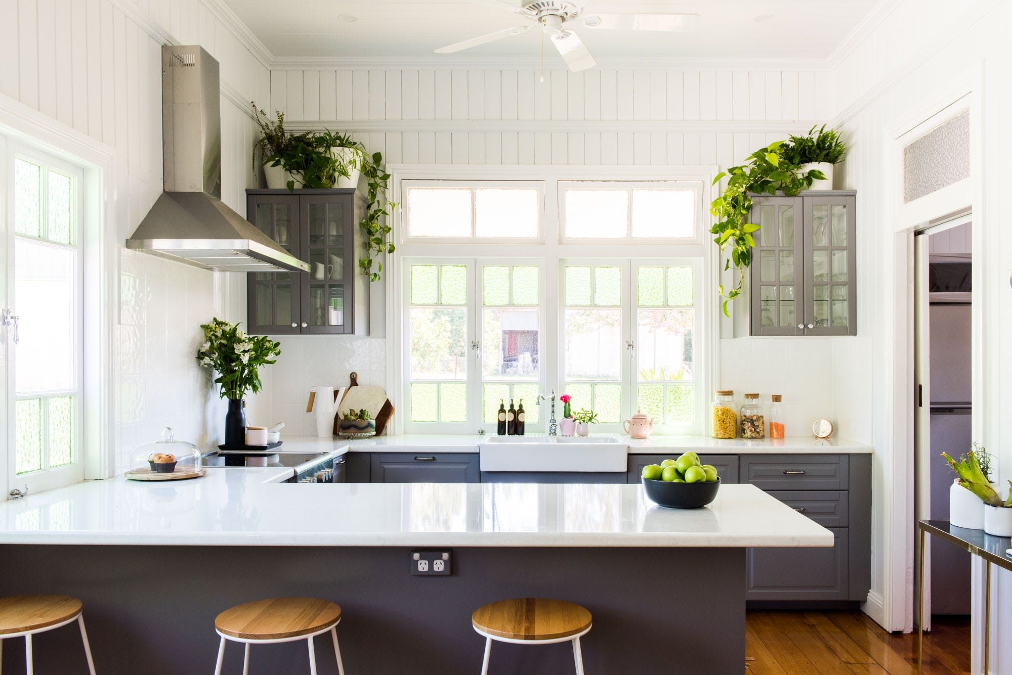 plants above kitchen cabinets